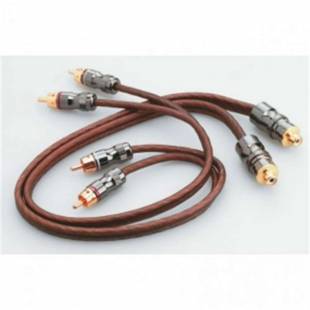 Focal CABEY05